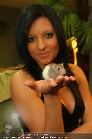 Eventfotos & Partypics (ab 2007) - bestshots - Mo 30.11.-1 - 1136