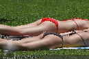 Eventfotos & Partypics (ab 2007) - bestshots - Mo 30.11.-1 - 448