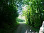 Wanderung durch Österreichs Wälder (Natur pur) - St. Corona / Schöpfl - Mi 04.06.2003 - 21