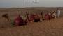 Sonne, Strand & Luxus - Dubai, VAE (privat) - Mo 30.11.-1 - 12