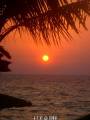 Sonne, Strand & Luxus - Dubai, VAE (privat) - Mo 30.11.-1 - 52
