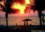 Sonne, Strand & Luxus - Dubai (privat) Teil 2 - Do 21.11.2002 - 21