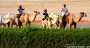 Sonne, Strand & Luxus - Dubai (privat) Teil 2 - Do 21.11.2002 - 45