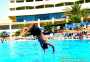 Sonne, Strand & Luxus - Dubai (privat) Teil 2 - Do 21.11.2002 - 62