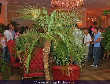 Club del Mar - Kursalon Hübner - Fr 06.08.2004 - 50