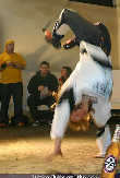 Breakdance Show - Diskothek P1 - Fr 06.02.2004 - 36