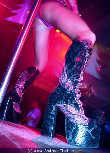 Garden Club GoGo special - Diskothek Volksgarten - Sa 27.12.2003 - 16