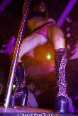 Garden Club GoGo special - Diskothek Volksgarten - Sa 27.12.2003 - 17