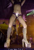 Garden Club GoGo special - Diskothek Volksgarten - Sa 27.12.2003 - 3