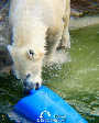 Frühling im Zoo TEIL 2 - Tiergarten Schönbrunn - Fr 28.03.2003 - 22