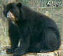 Frühling im Zoo TEIL 2 - Tiergarten Schönbrunn - Fr 28.03.2003 - 31