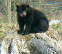 Frühling im Zoo TEIL 2 - Tiergarten Schönbrunn - Fr 28.03.2003 - 32
