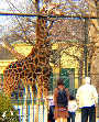Frühling im Zoo TEIL 2 - Tiergarten Schönbrunn - Fr 28.03.2003 - 47