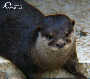Frühling im Zoo TEIL 2 - Tiergarten Schönbrunn - Fr 28.03.2003 - 83