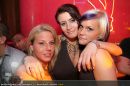 Vibration - Praterdome - Sa 08.11.2008 - 111