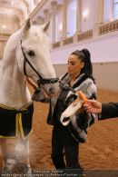 Katie Price - Hofreitschule - Mi 10.02.2010 - 24