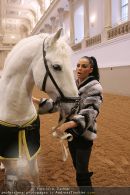 Katie Price - Hofreitschule - Mi 10.02.2010 - 29