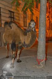 Ströck 1001 Nacht - Aux Gazelles - Sa 05.10.2013 - 180