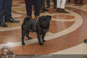 Mops ART Buchpräsentation - Belvedere - Fr 12.12.2014 - 27