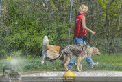 1 Tag auf Gut Aiderbichl - Gut Aiderbichl Gänserndorf - Fr 24.04.2015 - 103