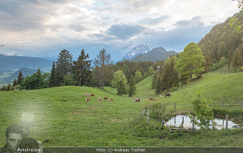 Feel Austria - Österreich - Mi 16.05.2018 - Kühe auf der Weide bei Wörschach Irdning Alm38