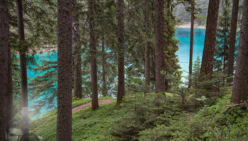 Österreich in Farben - Österreich - Mo 02.07.2018 - Grüner See Steiermark Hochschwabgebiet Naturjuwel Idylle Bergse13