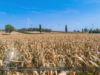Hitze und Dürre - Niederösterreich - Do 23.08.2018 - Klimawandel Dürre Hitzewelle Hitzeperiode Landwirtschaft vertro5