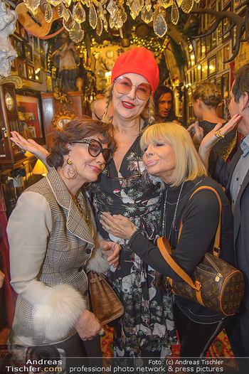 Künstler Neujahrsempfang - Marchfelderhof - Mi 09.01.2019 - Edith LEYRER, Andrea BUDAY, Christine SCHUBERT20