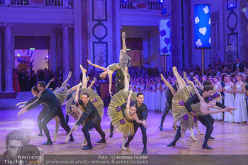 Kaffeesiederball - Hofburg Wien - Fr 22.02.2019 - Maria YAKOVLEVA beim Tanzen101