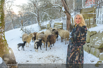 Fotoshooting Silvia Schneider - Div. Locations Österreich - Mo 25.02.2019 - Silvia SCHNEIDER mit Schafen, Schafherde76