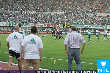 Rapid-Austria - Happel Stadion - Do 26.05.2005 - 94