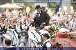 Verona´s Hochzeit - Dom Wien - Sa 10.09.2005 - 8