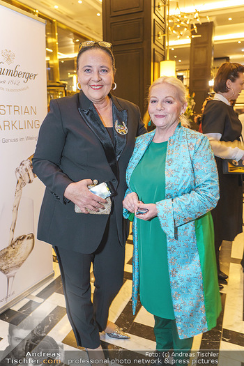 Jeannine Schiller Neujahrscocktail - Hilton Hotel Vienna, Wien - Di 07.01.2020 - Brigitte Gitti KREN, Doris KIEFHABER48