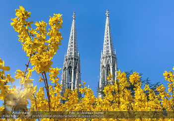 Corona Feature und Frühling - Wien und Wachau - Di 24.03.2020 - Frühlingsblüte in Wien während Coronavirus Pandemie, Bäume b78