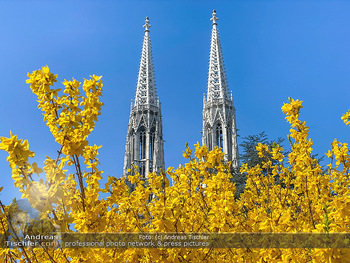 Corona Feature und Frühling - Wien und Wachau - Di 24.03.2020 - Frühlingsblüte in Wien während Coronavirus Pandemie, Bäume b79