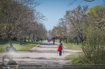 Corona Feature - Wien, NÖ - So 05.04.2020 - Steinhofgründe Freizeit Frühlingswetter Coronavirus Ausgangsbe1