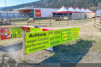 Corona Feature - Wien, NÖ - So 05.04.2020 - gestrandeter Zirkus bei Berndorf NÖ Tiere Kamele Pferde Ponys W43