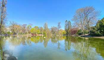 Corona Feature - Wien, NÖ - So 05.04.2020 - Natur Wasser Teich im Wiener Stadtpark Frühlingswetter Ausgangs78