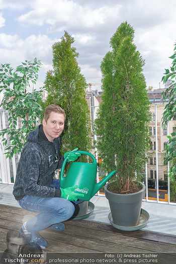 Promis während Corona - Wien - Mi 15.04.2020 - Clemens TRISCHLER gießt seine Pflanzen Thujen auf seiner Dachte7
