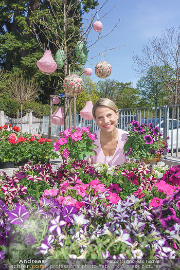 Promis während Corona - Wien - Mi 15.04.2020 - Kristina SPRENGER im Blumenfachgeschäft Gärtnerei Chwala Bad V31