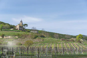 Frühlingseindrücke - Wien und NÖ - Mi 15.04.2020 - Schloss Schlösschen Lausturm Weingut Schlossberg Bad Vöslau So5