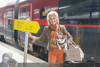 Werbeshooting für Festspielprogramm - Theaterpark Berndorf - Sa 13.06.2020 - Elisabeth GÜRTLER mit Hund Ella8