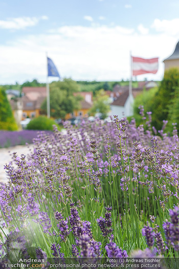 Ein fest für Dominique Meyer - Schloss Gobelsburg, NÖ - Mi 01.07.2020 - EU-Flagge der Europäischen Union und Österreich Fahne18