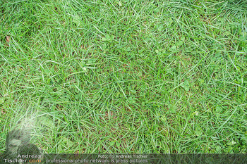 Climate Kirtag - Heldenplatz - Do 17.09.2020 - Wiese, Rasen, Gras, ungemäht, natur, grün155