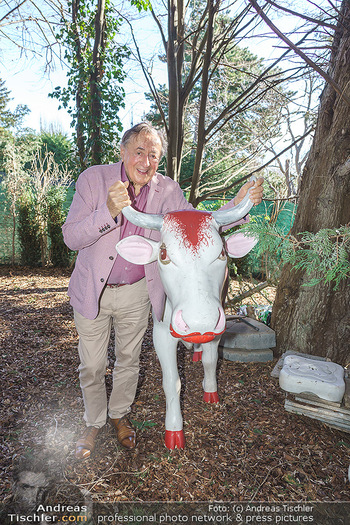 Besuch bei Richard Lugner - Privatvilla, Wien - Do 04.02.2021 - Richard LUGNER mit Plastikkühen in seinem Garten5