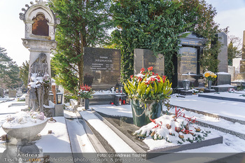 Peter Alexander Grab - Friedhof Grinzing, Wien - Do 11.02.2021 - Grab von Peter ALEXANDER (Hildegard, Susanne, Michael), Grabstä1