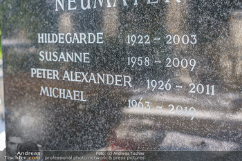 Peter Alexander Grab - Friedhof Grinzing, Wien - Do 11.02.2021 - Grab von Peter ALEXANDER (Hildegard, Susanne, Michael), Grabstä5