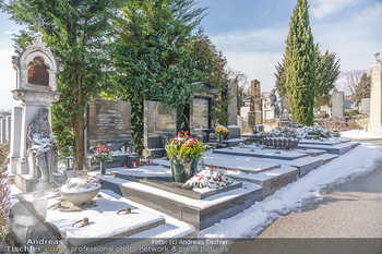 Peter Alexander Grab - Friedhof Grinzing, Wien - Do 11.02.2021 - Grab von Peter ALEXANDER (Hildegard, Susanne, Michael), Grabstä10