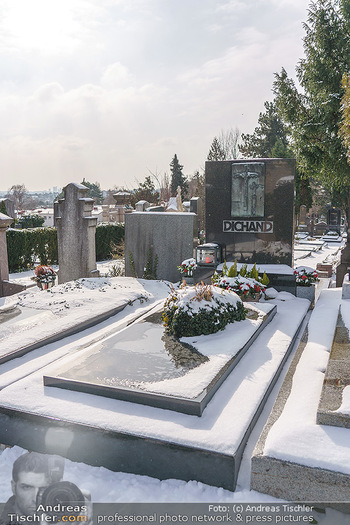 Peter Alexander Grab - Friedhof Grinzing, Wien - Do 11.02.2021 - Grabstätte Familie DICHAND13