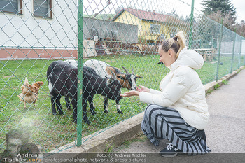 Spaziergang mit Lili Klein - Maria Gugging - Do 08.04.2021 - Liliana KLEIN (Lili, Lilli) mit Ziegen und Hühnern beim Bio-Bau3